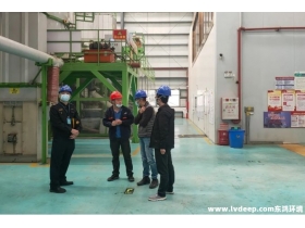 東莞市第七巡查組督導塘廈生態環境全面巡查整改工作